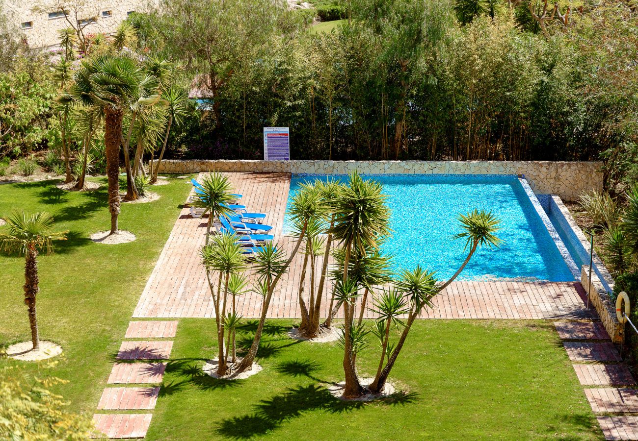Garden and pool.