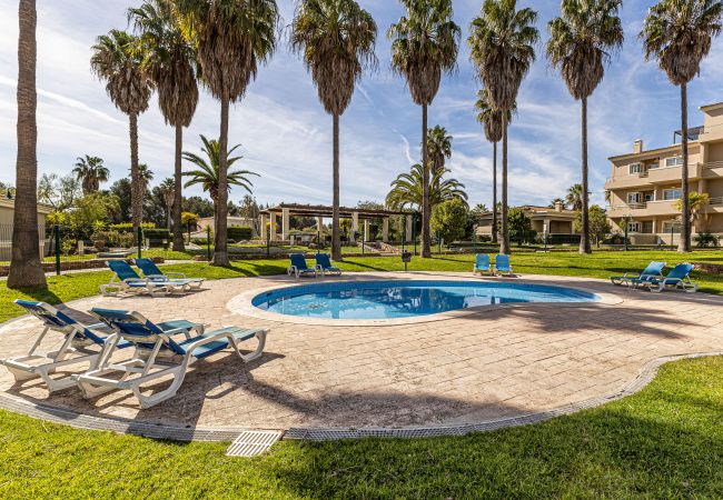 Apartment in Portimão - Luxury Apartment | Nomads | WIFI | Indoor Pool | Balcony Apartment in Portimão - Luxury Apartment | Nomads | WIFI | Indoor Pool | Balcony