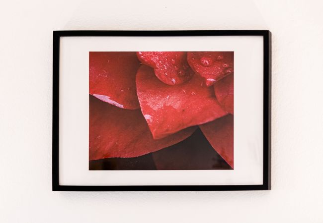 Apartment in Lagos - Peaceful Panorama apartment Great Location | Ideal for Digital Nomads Apartment in Lagos - Peaceful Panorama apartment Great Location | Ideal for Digital Nomads