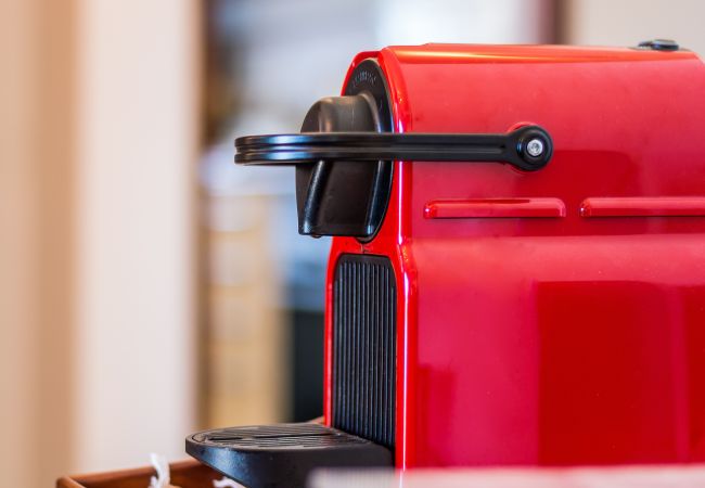 House in Porches - Casa do Vale: PET Friendly | Family, Pool & Beach House in Porches - Casa do Vale: PET Friendly | Family, Pool & Beach