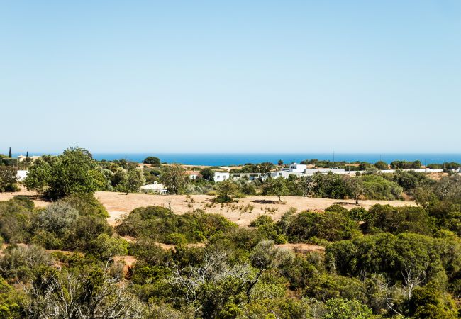 House in Porches - Casa do Vale: PET Friendly | Family, Pool & Beach House in Porches - Casa do Vale: PET Friendly | Family, Pool & Beach