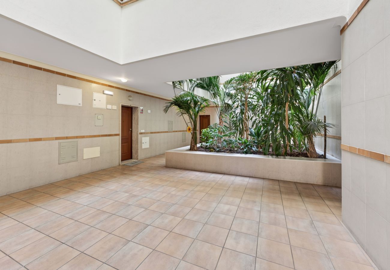 Apartment in Lagos - Casa Oliveira 31 