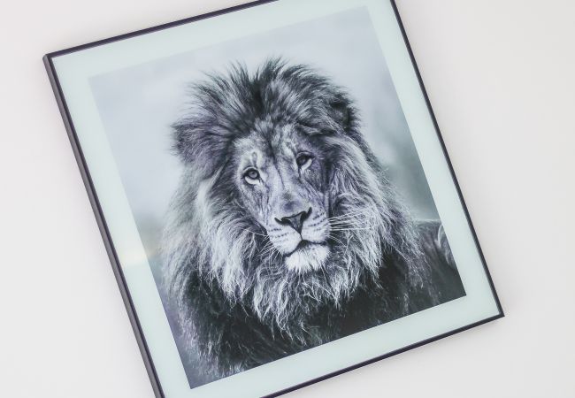 Apartamento em Lagos - Iberlagos: Casa Luna | Top Location | WIFI | Ideal for Nomads Apartamento em Lagos - Iberlagos: Casa Luna | Top Location | WIFI | Ideal for Nomads