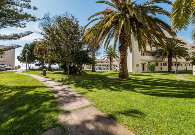 Apartamento em Lagos - Iberlagos: Casa Luna | Top Location | WIFI | Ideal for Nomads Apartamento em Lagos - Iberlagos: Casa Luna | Top Location | WIFI | Ideal for Nomads