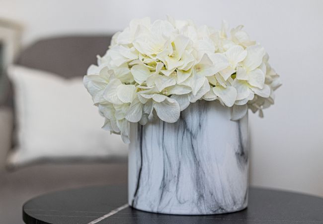 Casa em Lagos - Casa Gaivota | Traditional house | Location | Ideal for Digital Nomads Casa em Lagos - Casa Gaivota | Traditional house | Location | Ideal for Digital Nomads