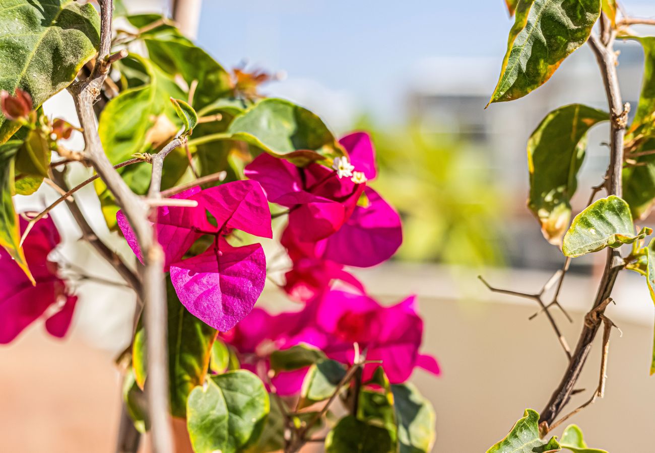 Apartamento em Armação de Pêra - Flor de Sal | Romantic Sea View Apartment | Modern & Cozy