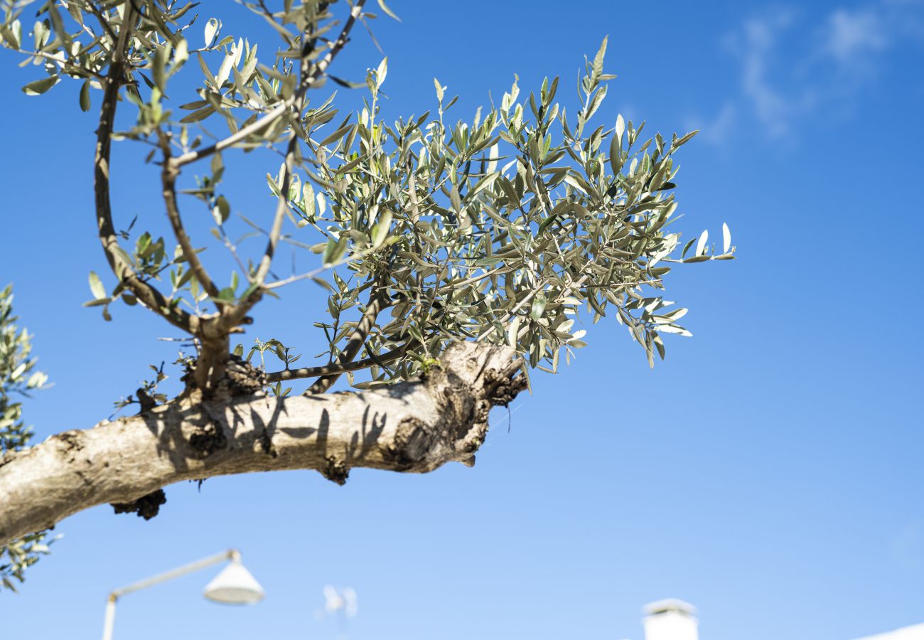 Casa rural em Salvada - Casa Oliva | Retiro Rural | Paz e Tranquilidade