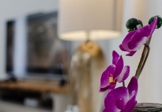 Casa geminada em Almancil - Casa no Sol Casa geminada em Almancil - Casa no Sol