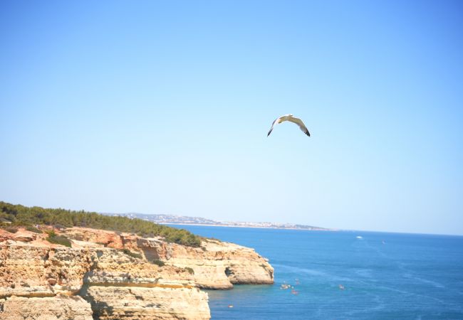 Casa geminada em Lagoa - Casa Benagil Mar Casa geminada em Lagoa - Casa Benagil Mar