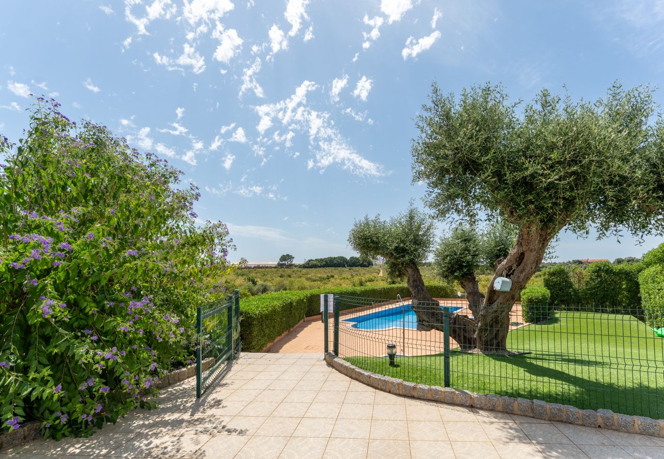 Villa em Silves - Moradia de Silves | Nature Retreat