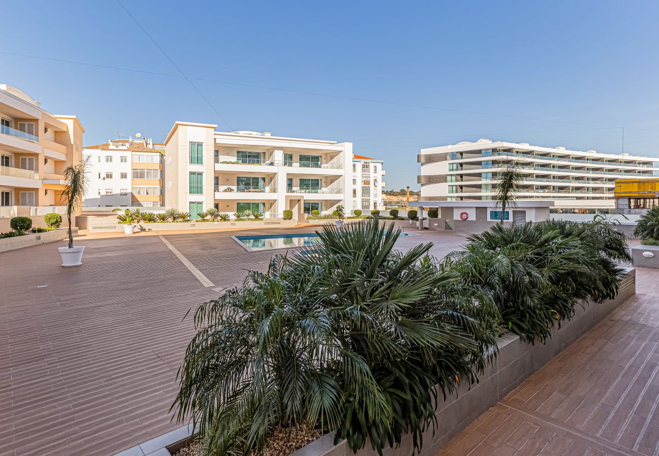 Apartamento em Lagos - Adega Deluxe |  Pool and Gym | Top Location