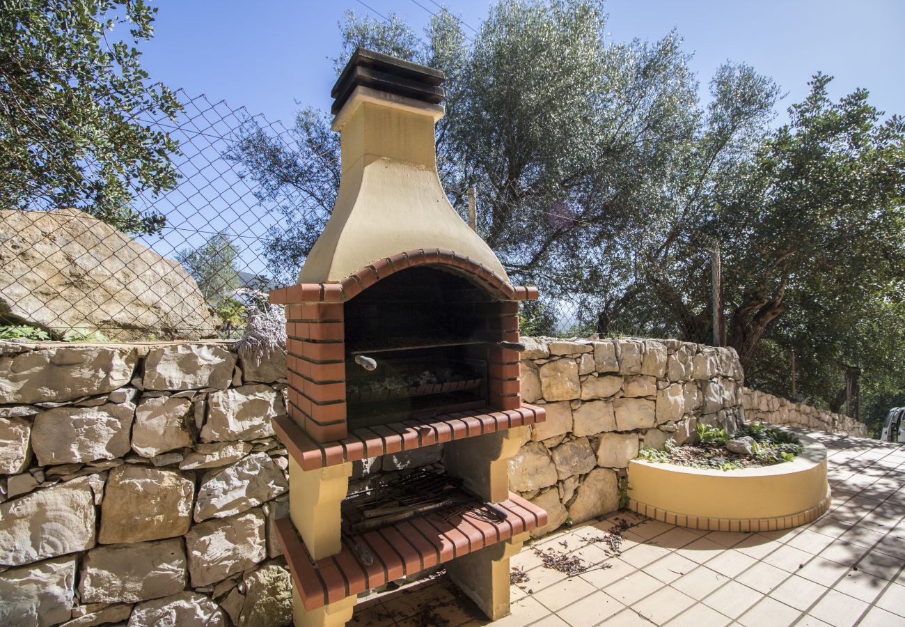 Villa in Estoi - Villa Florencio