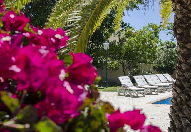 Villa in Almancil - Villa Caravela Villa in Almancil - Villa Caravela