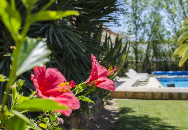 Villa in Almancil - Villa Caravela Villa in Almancil - Villa Caravela