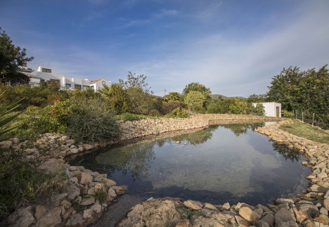 Cottage in Estoi - Casa Serena Cottage in Estoi - Casa Serena