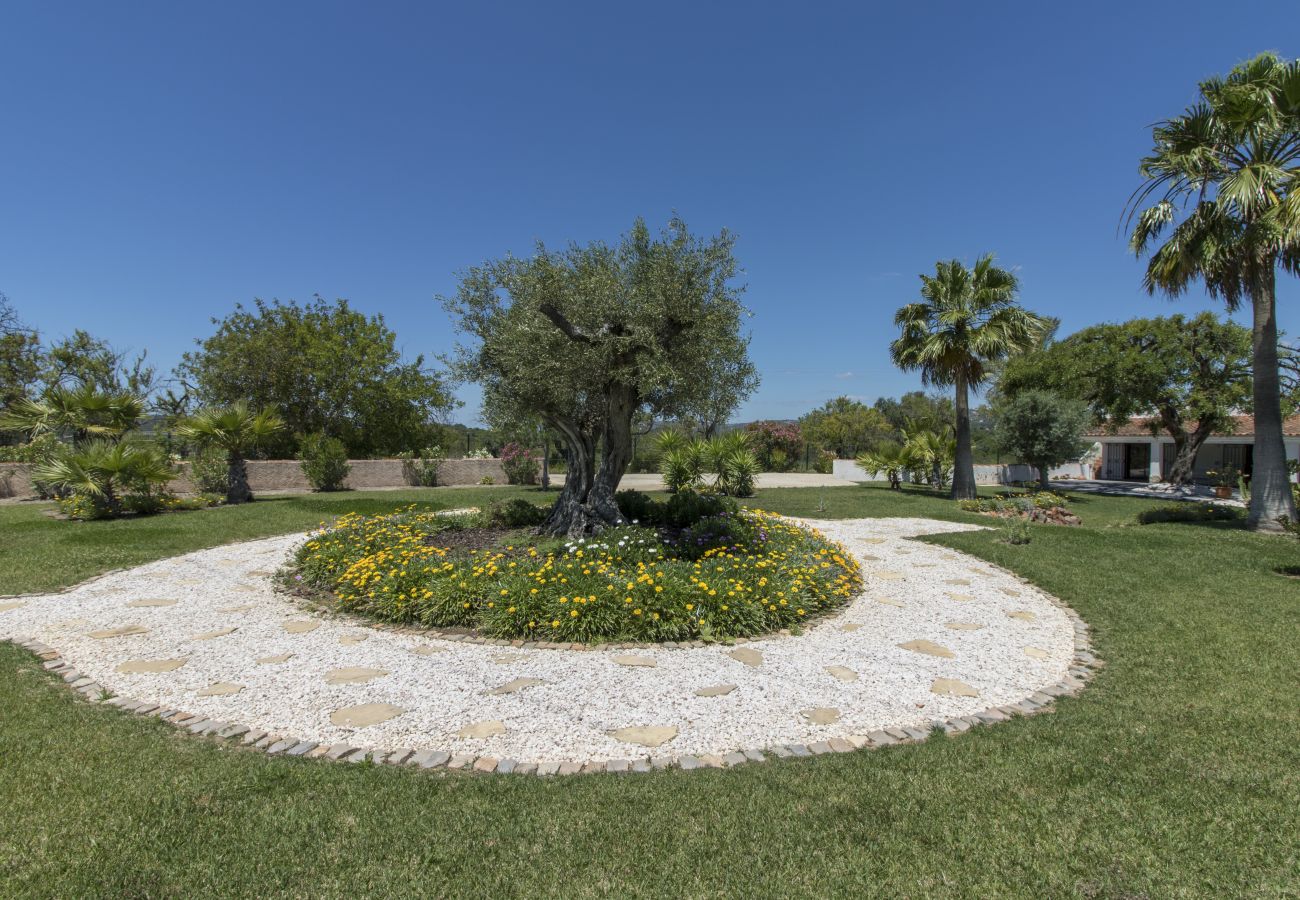 Villa in Loulé - Villa Isabelle