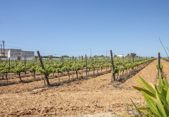 Villa in Albufeira - Quinta Dionysus Villa in Albufeira - Quinta Dionysus