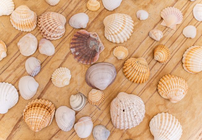 Apartment in Lagos - Sea La Vie | On the Beach, City Center & Marina Apartment in Lagos - Sea La Vie | On the Beach, City Center & Marina