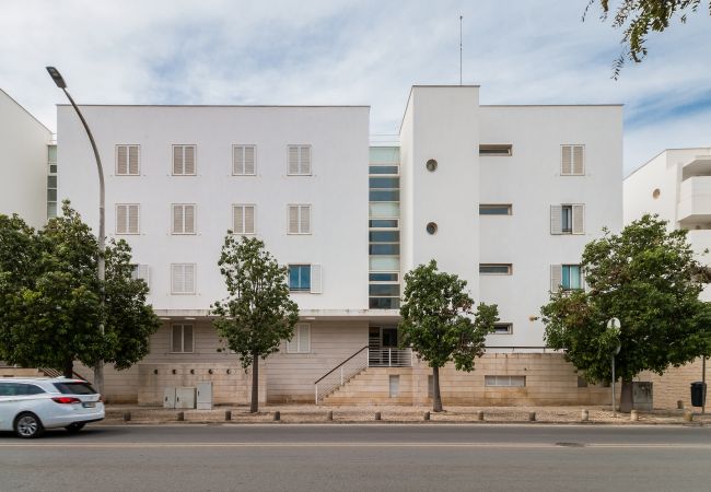 Apartment in Lagos - D. Duarte: On the Marina, City Center and Beach! Apartment in Lagos - D. Duarte: On the Marina, City Center and Beach!